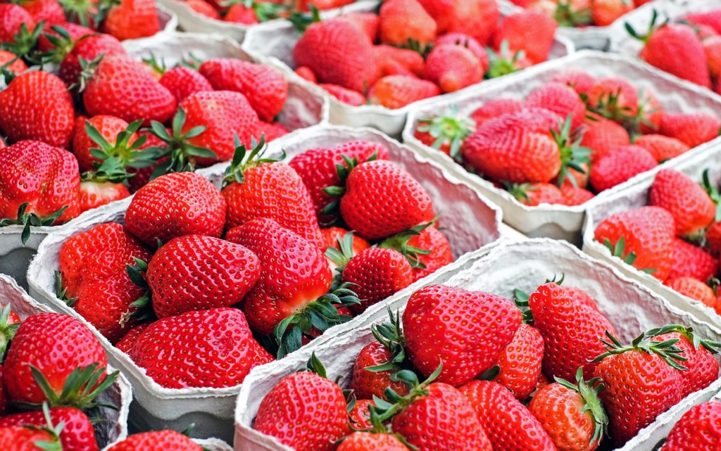 Många askar med jordgubbar står uppradade tätt intill varandra.