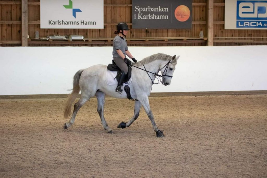 Sandra Carlsson rider på en vit häst.