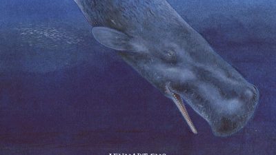 boktips: Kaskeloten världens största rovdjur